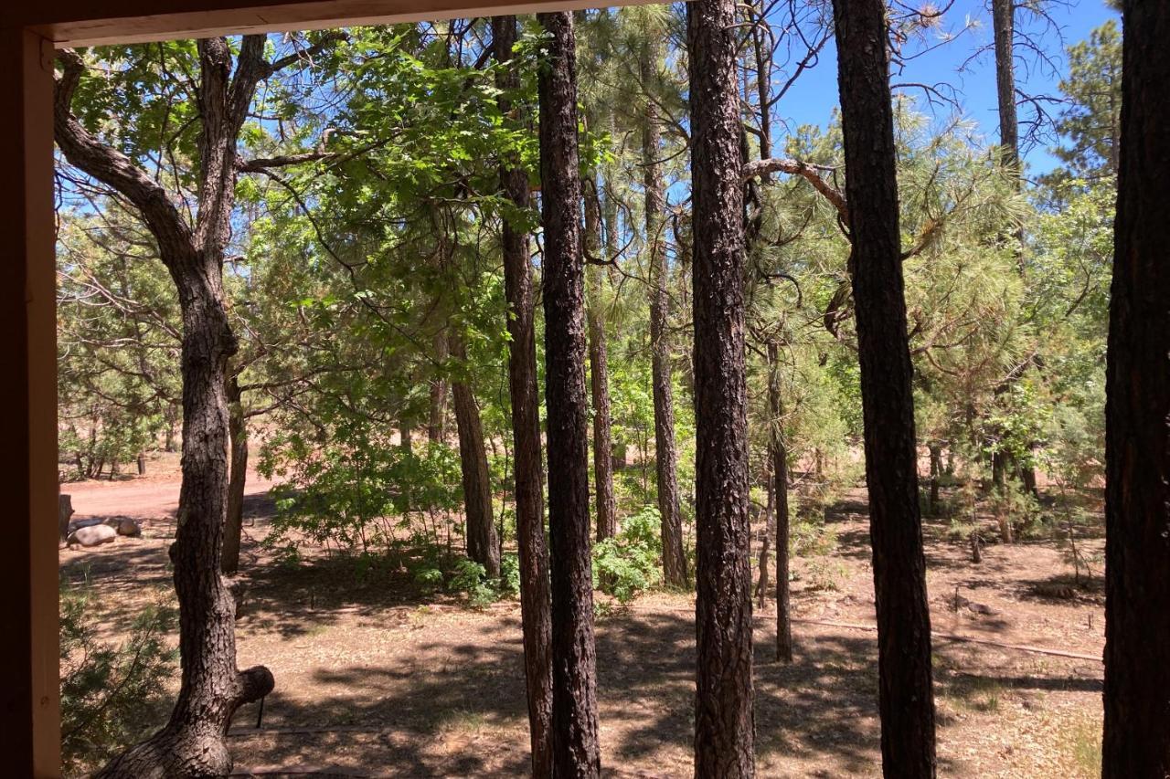 Tranquil Pines Retreat Vila Pinetop-Lakeside Exterior foto